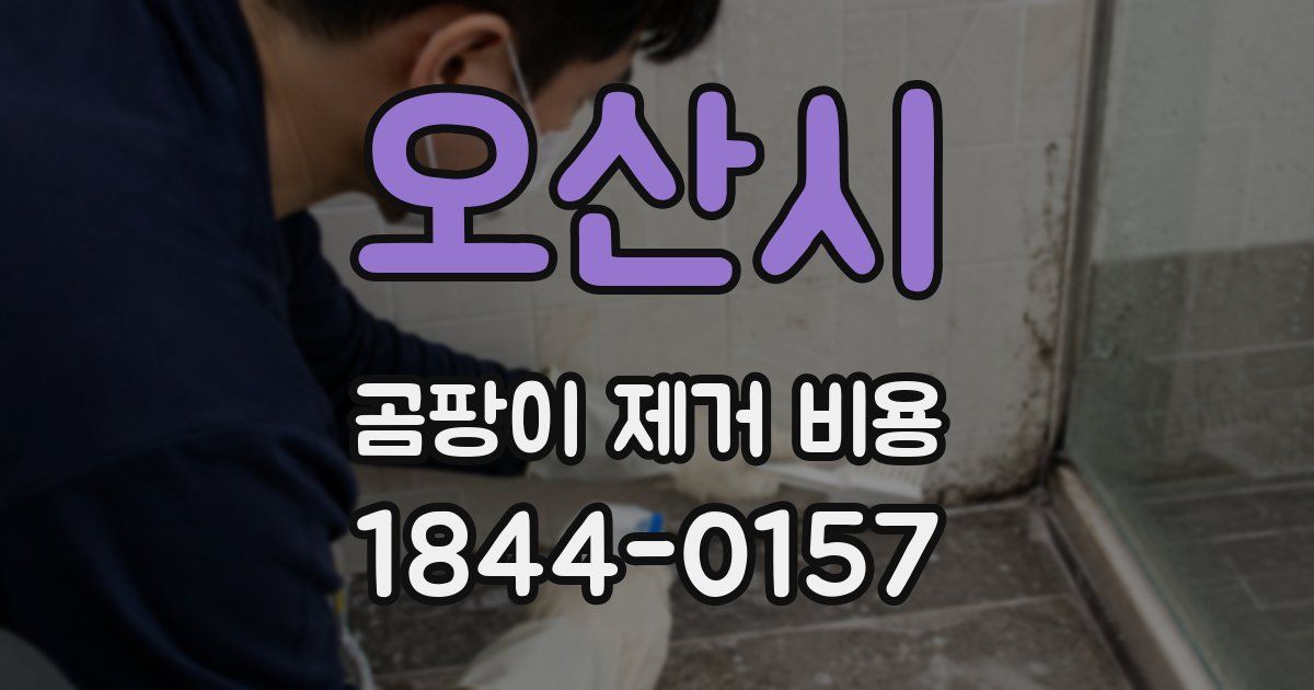 오산시 곰팡이 제거 비용