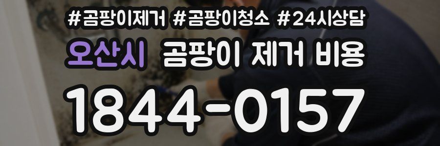 오산시 곰팡이 제거 비용