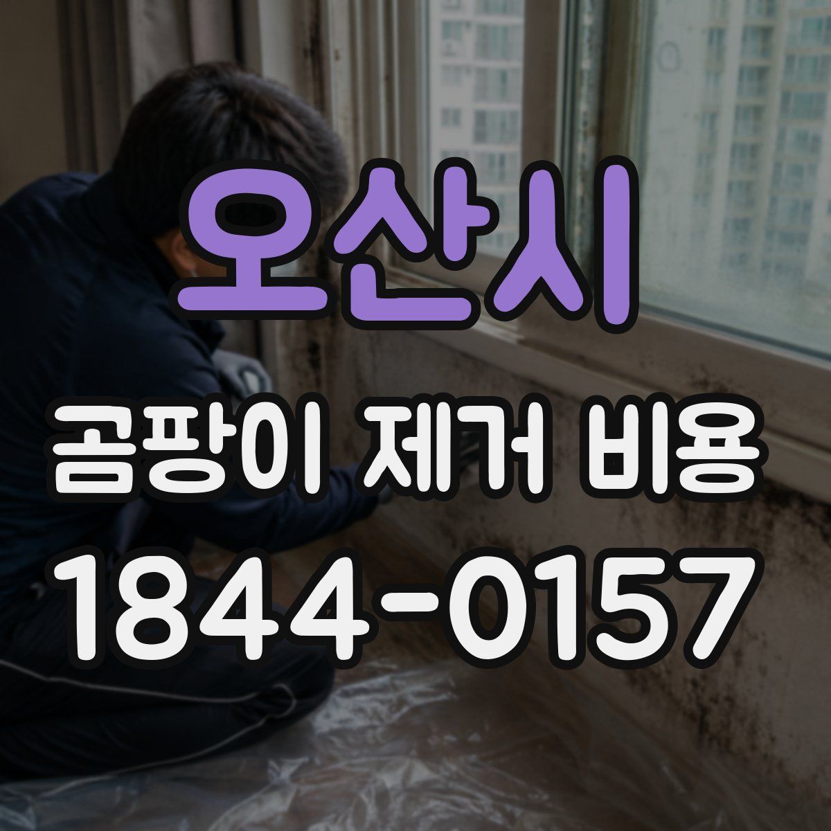 오산시 곰팡이 제거 비용