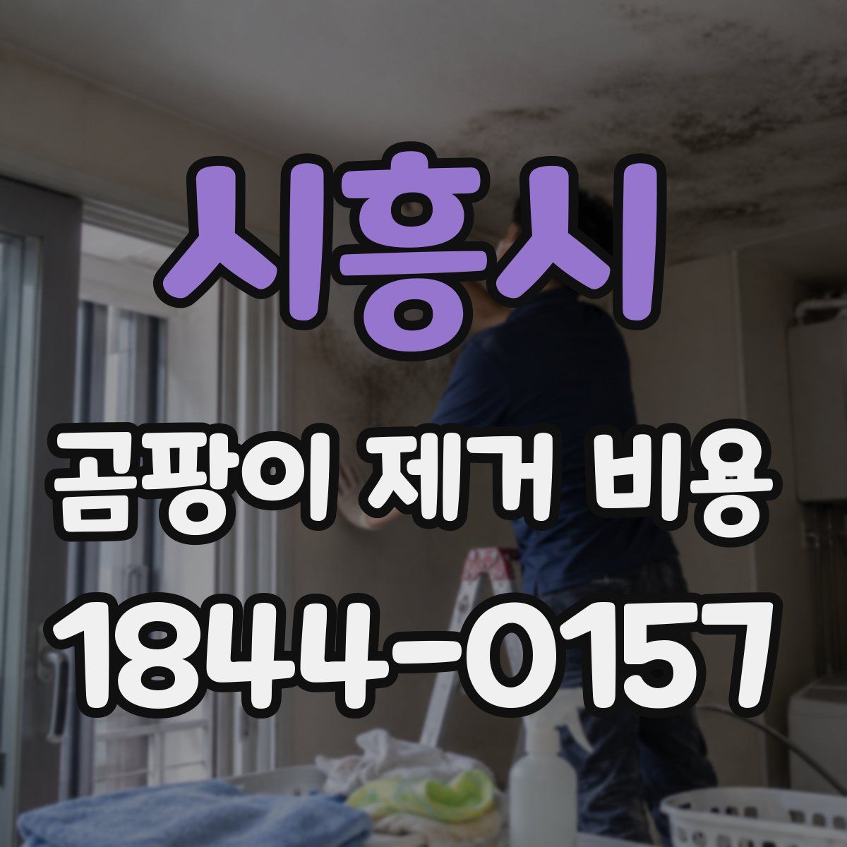 시흥시 곰팡이 제거 비용
