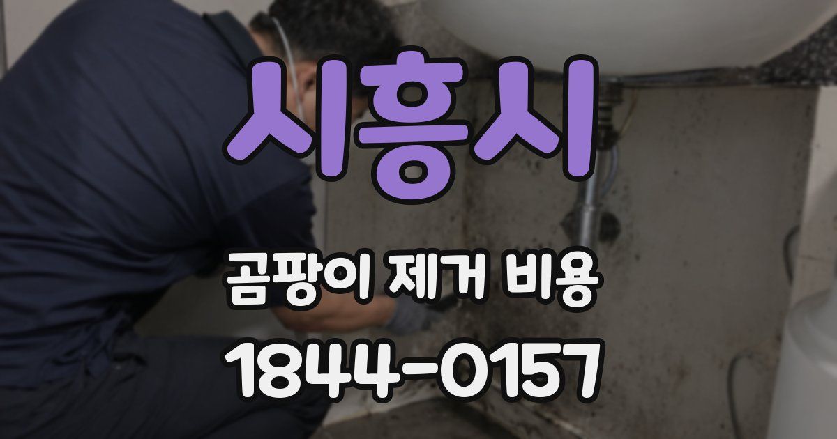 시흥시 곰팡이 제거 비용