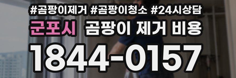 군포시 곰팡이 제거 비용