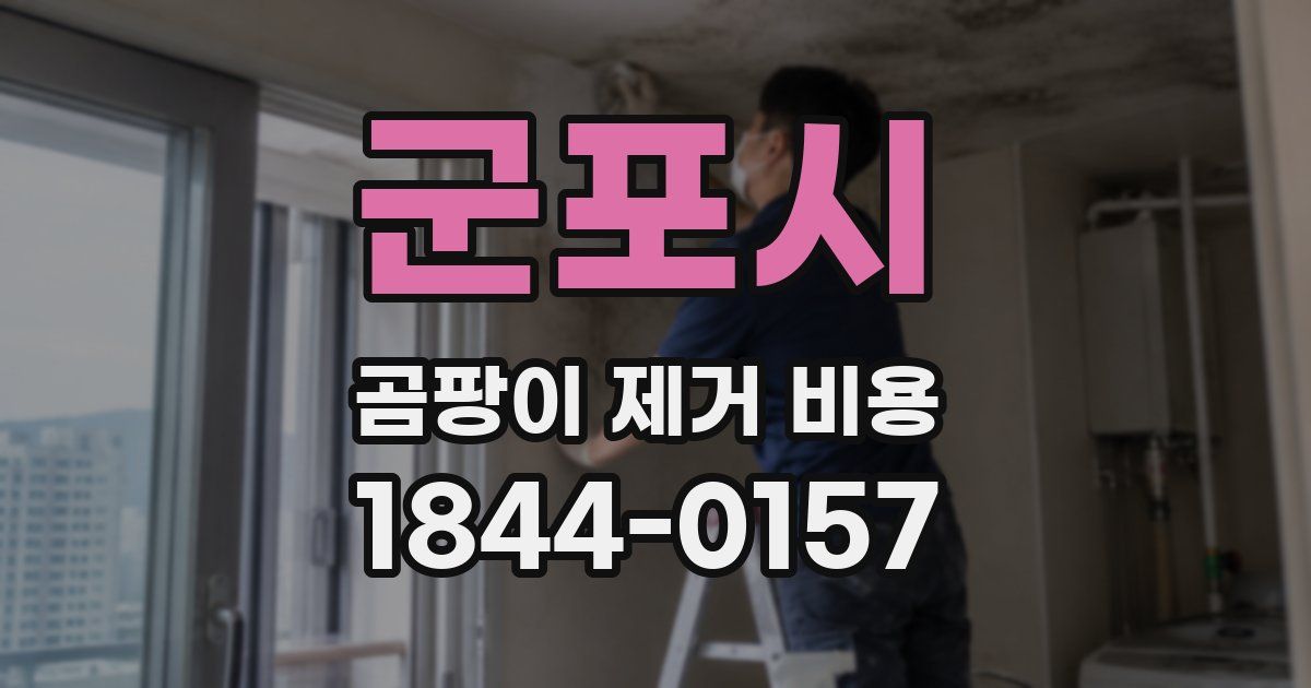 군포시 곰팡이 제거 비용