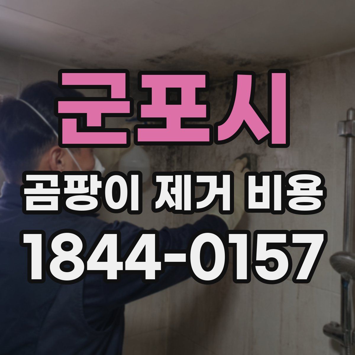 군포시 곰팡이 제거 비용