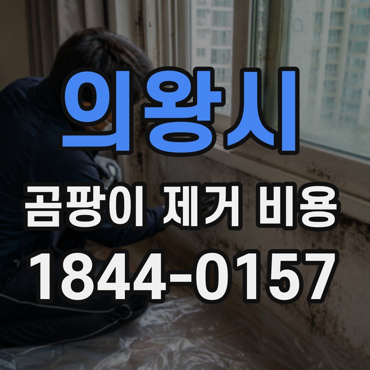 의왕시 곰팡이 제거 비용