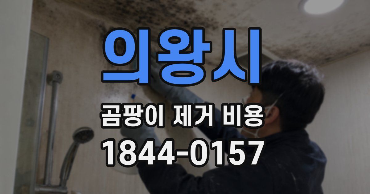의왕시 곰팡이 제거 비용