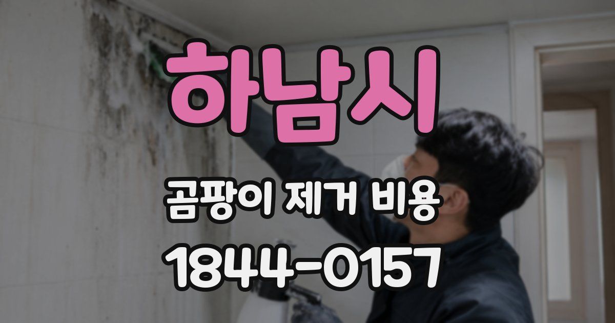 하남시 곰팡이 제거 비용
