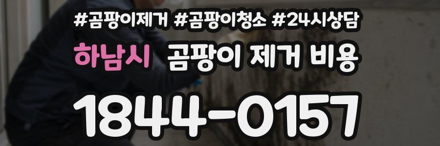 하남시 곰팡이 제거 비용