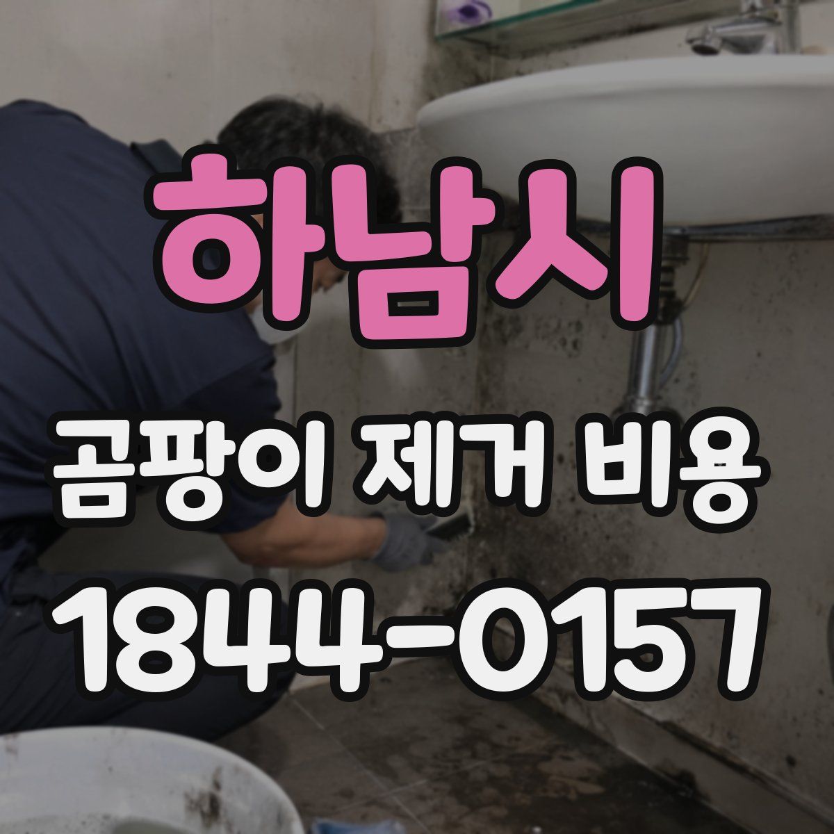 하남시 곰팡이 제거 비용