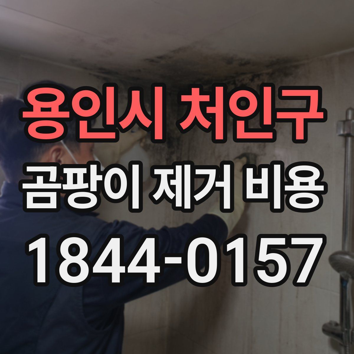용인시 처인구 곰팡이 제거 비용