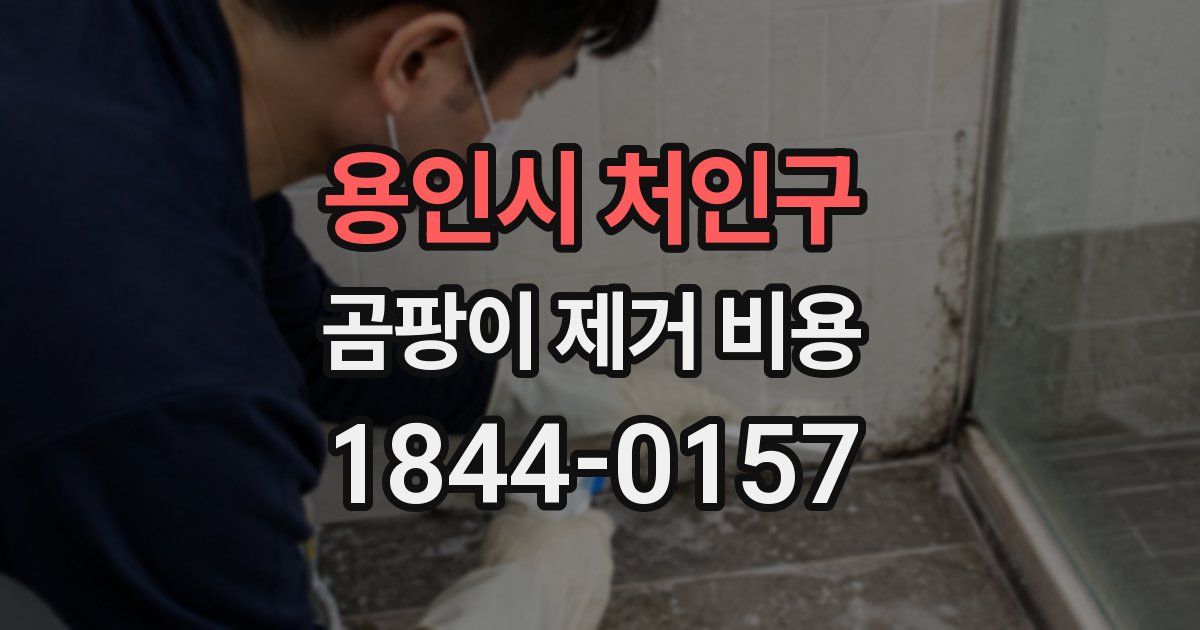 용인시 처인구 곰팡이 제거 비용