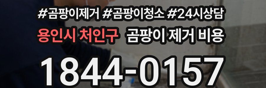 용인시 처인구 곰팡이 제거 비용