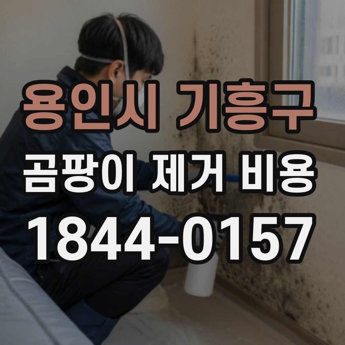 용인시 기흥구 곰팡이 제거 비용