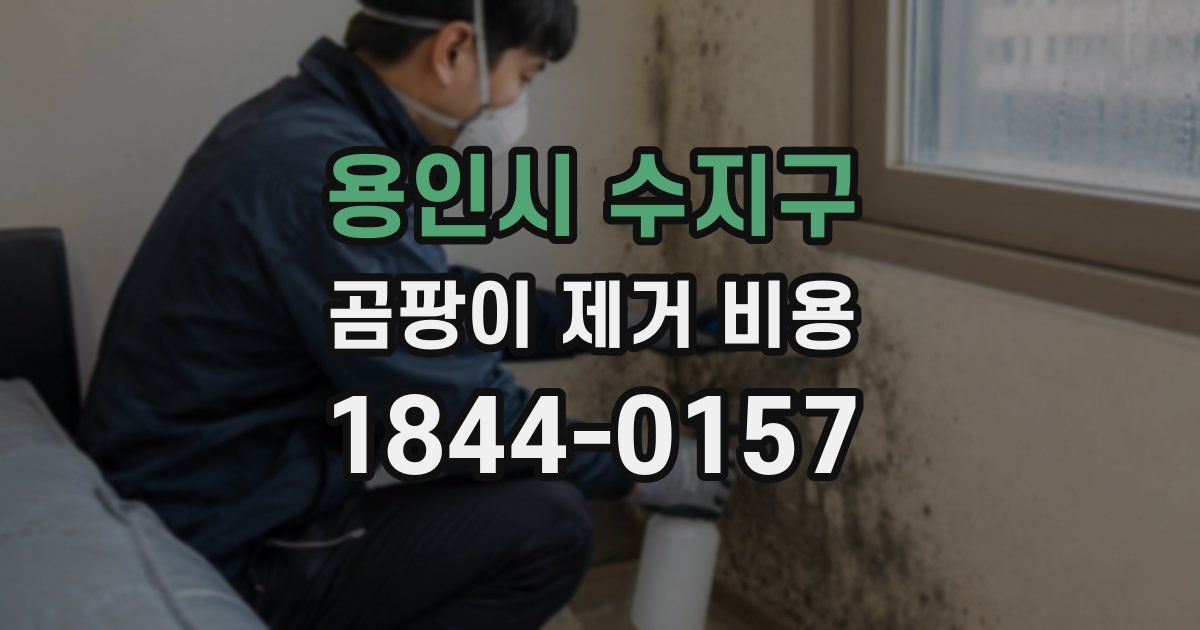 용인시 수지구 곰팡이 제거 비용