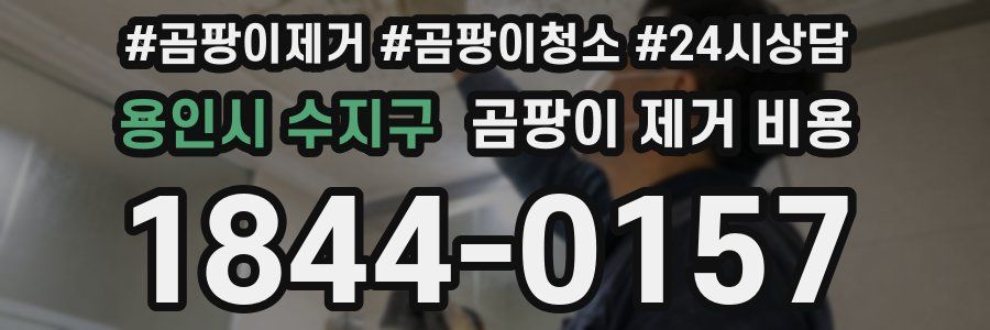 용인시 수지구 곰팡이 제거 비용