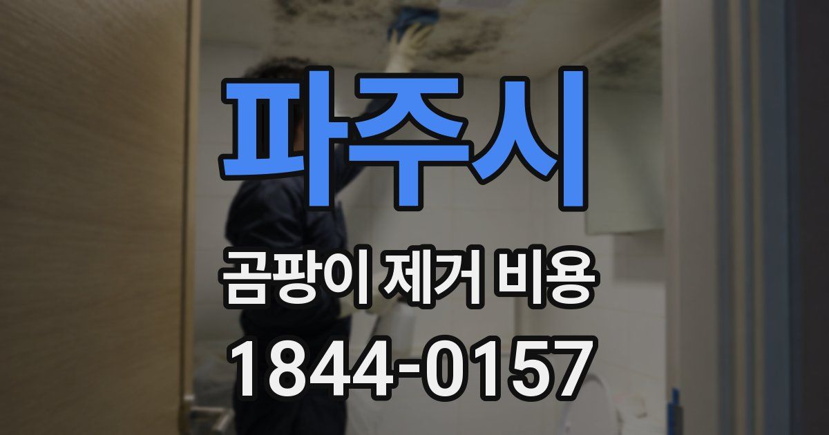 파주시 곰팡이 제거 비용
