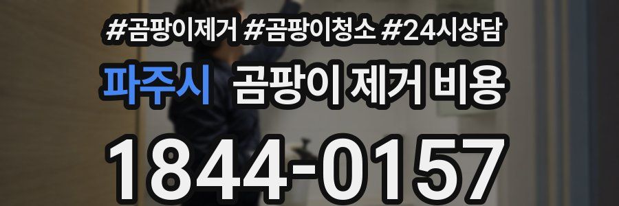 파주시 곰팡이 제거 비용