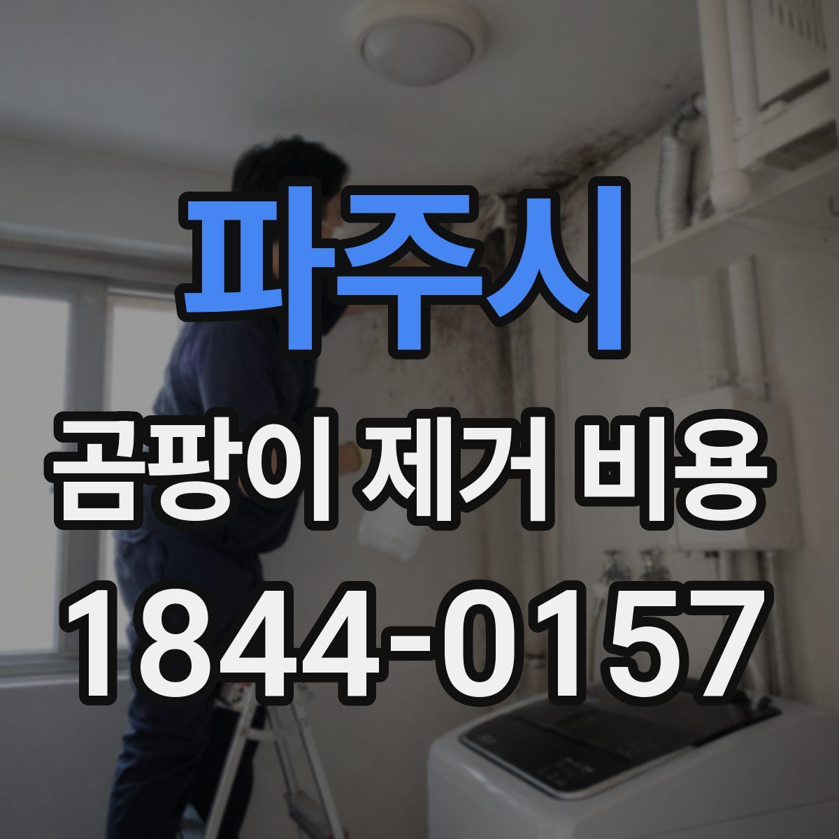 파주시 곰팡이 제거 비용
