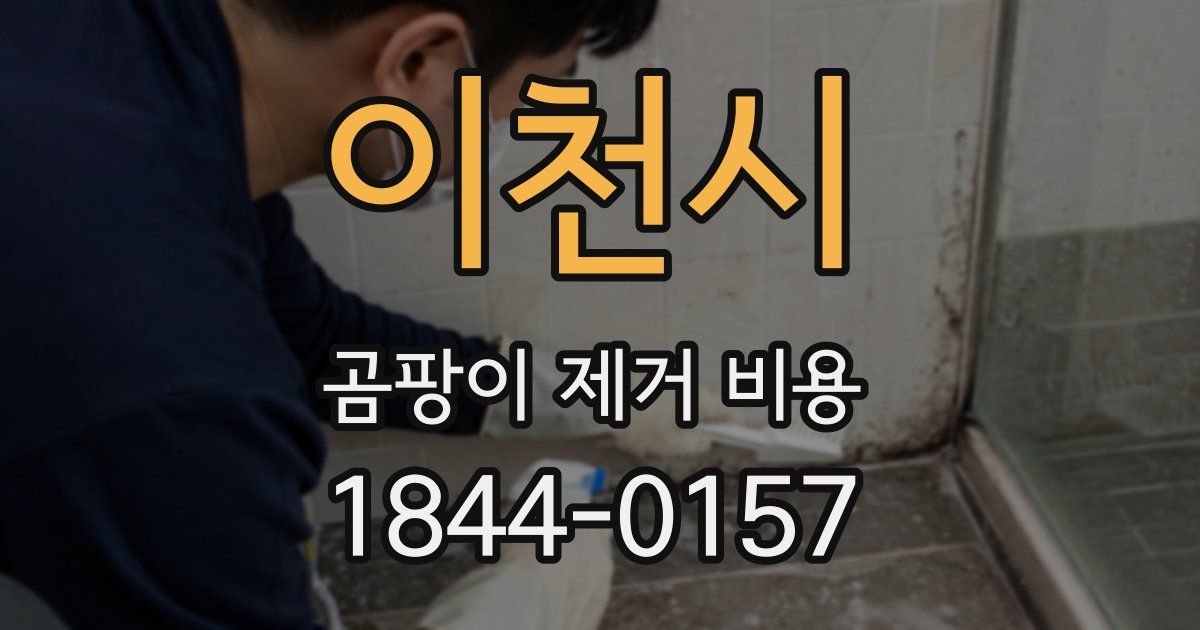 이천시 곰팡이 제거 비용