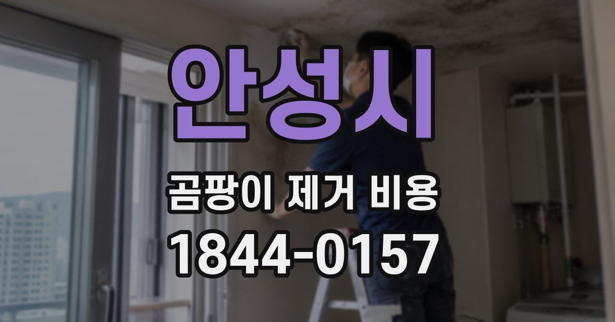 안성시 곰팡이 제거 비용