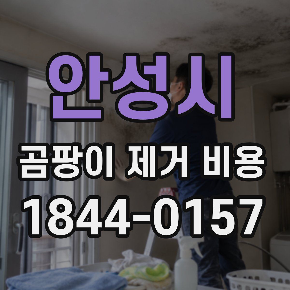 안성시 곰팡이 제거 비용