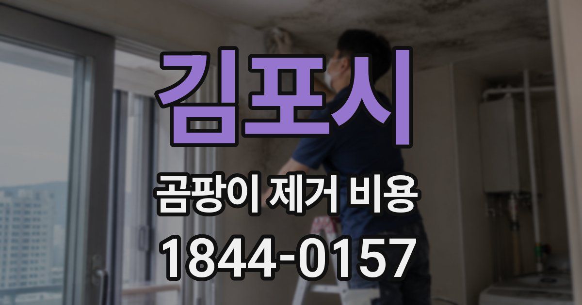 김포시 곰팡이 제거 비용