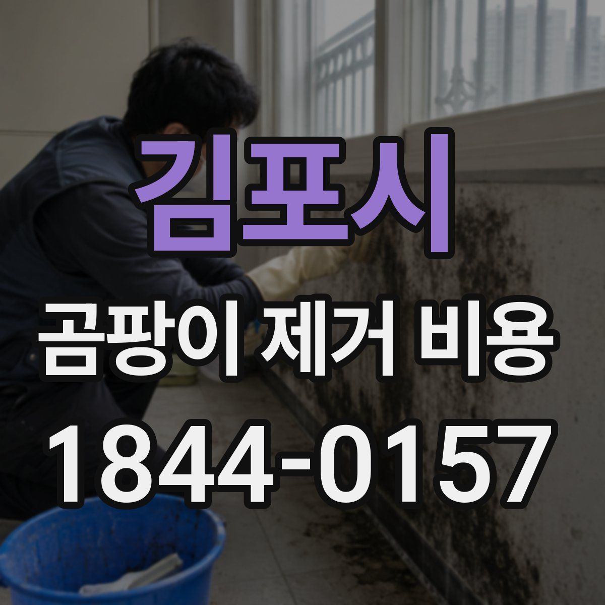 김포시 곰팡이 제거 비용