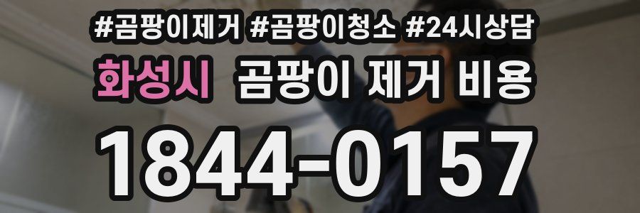 화성시 곰팡이 제거 비용