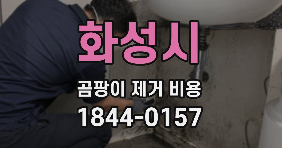 화성시 곰팡이 제거 비용