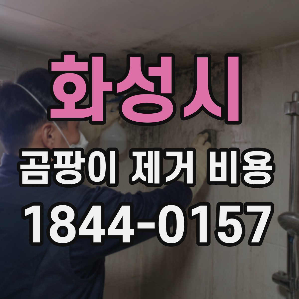 화성시 곰팡이 제거 비용