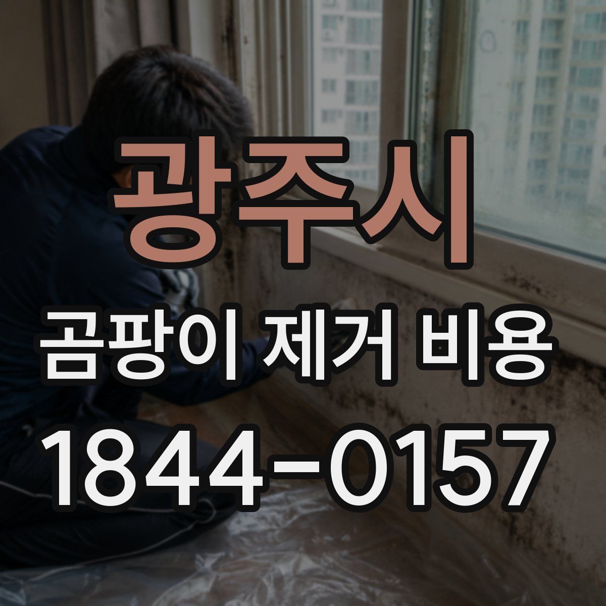 광주시 곰팡이 제거 비용
