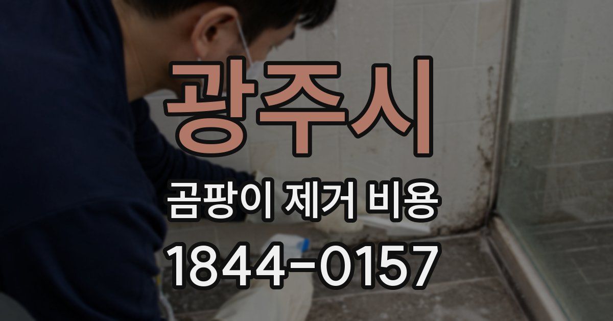 광주시 곰팡이 제거 비용
