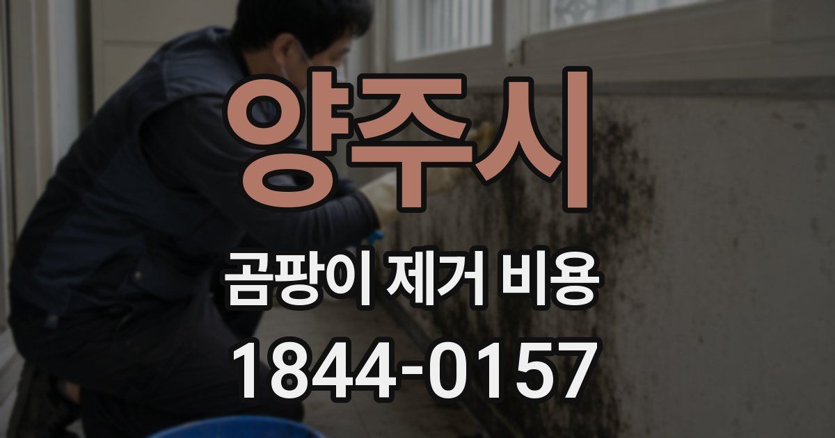 양주시 곰팡이 제거 비용