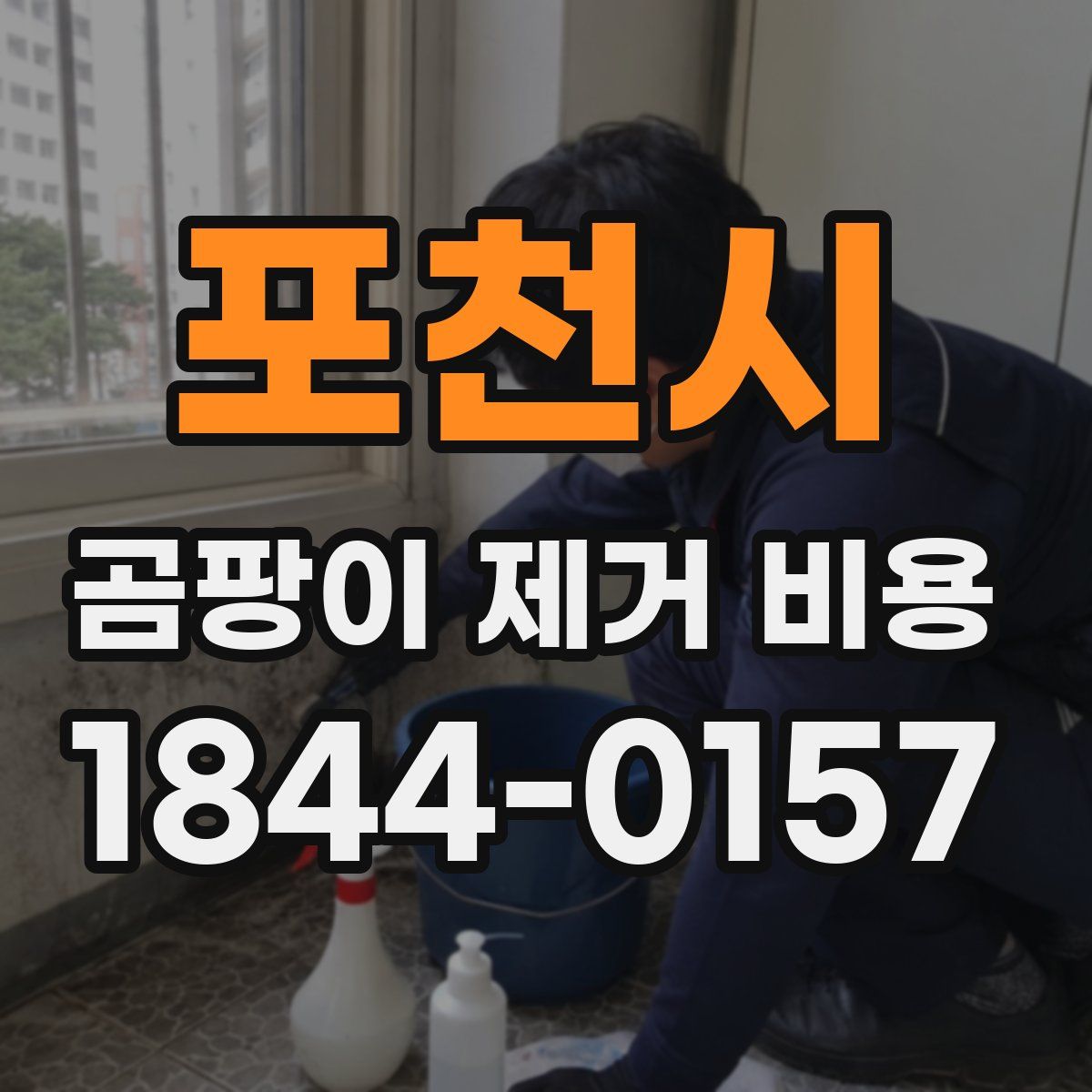 포천시 곰팡이 제거 비용