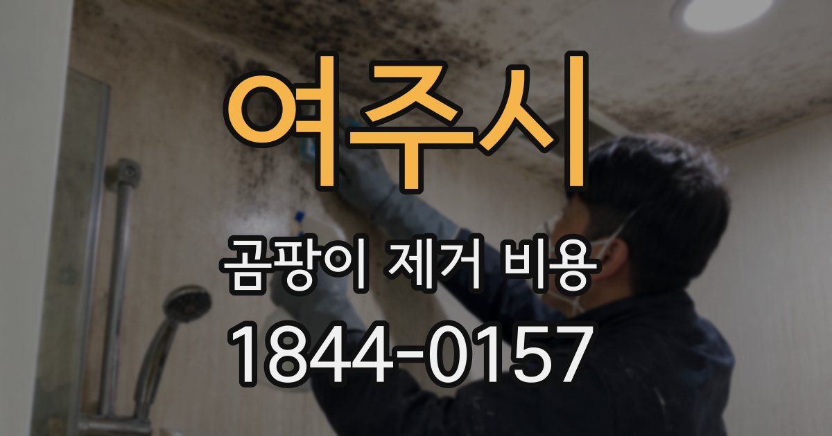 여주시 곰팡이 제거 비용