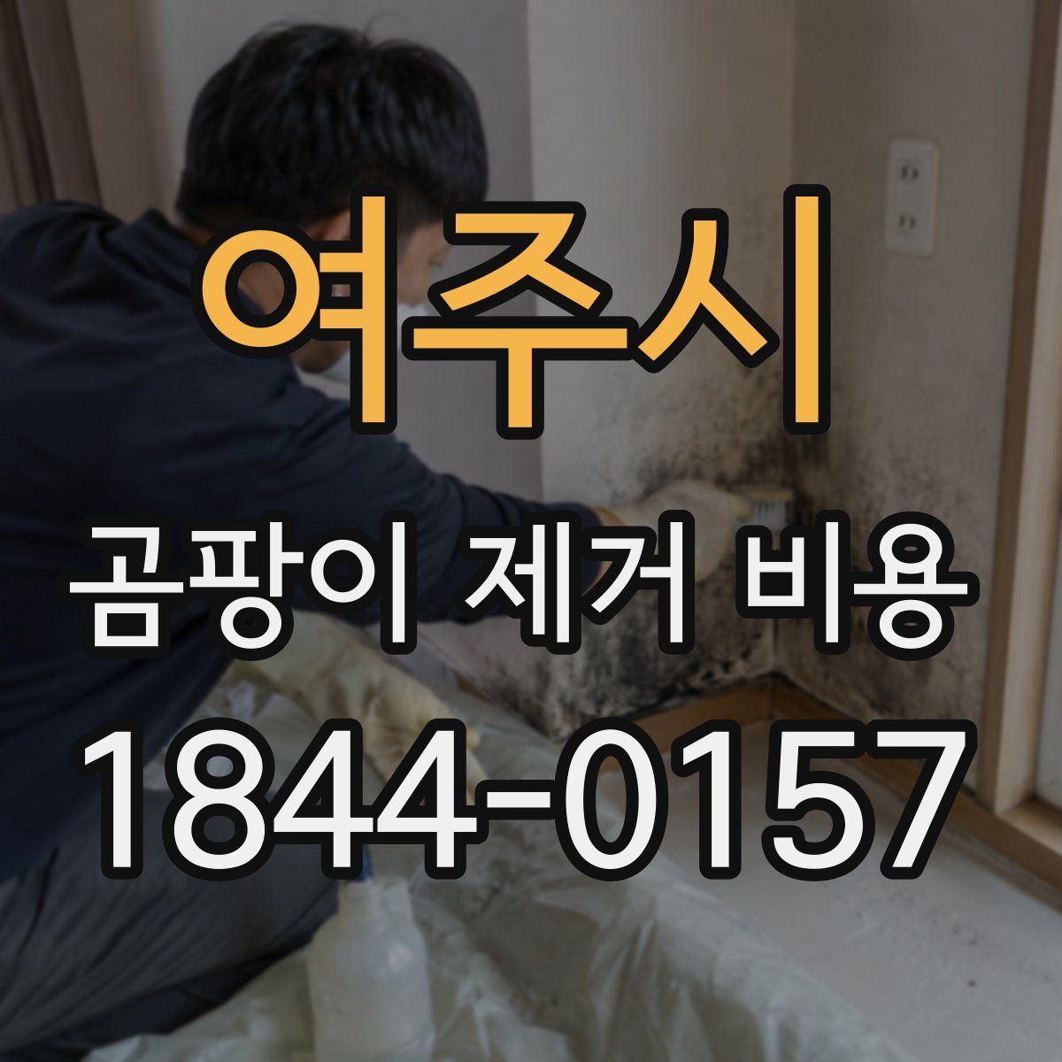 여주시 곰팡이 제거 비용