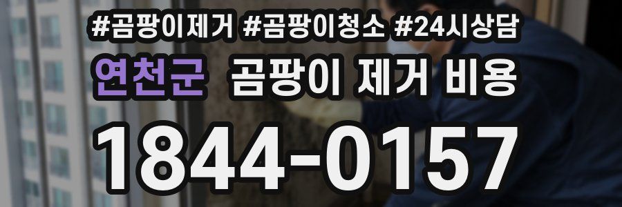 연천군 곰팡이 제거 비용