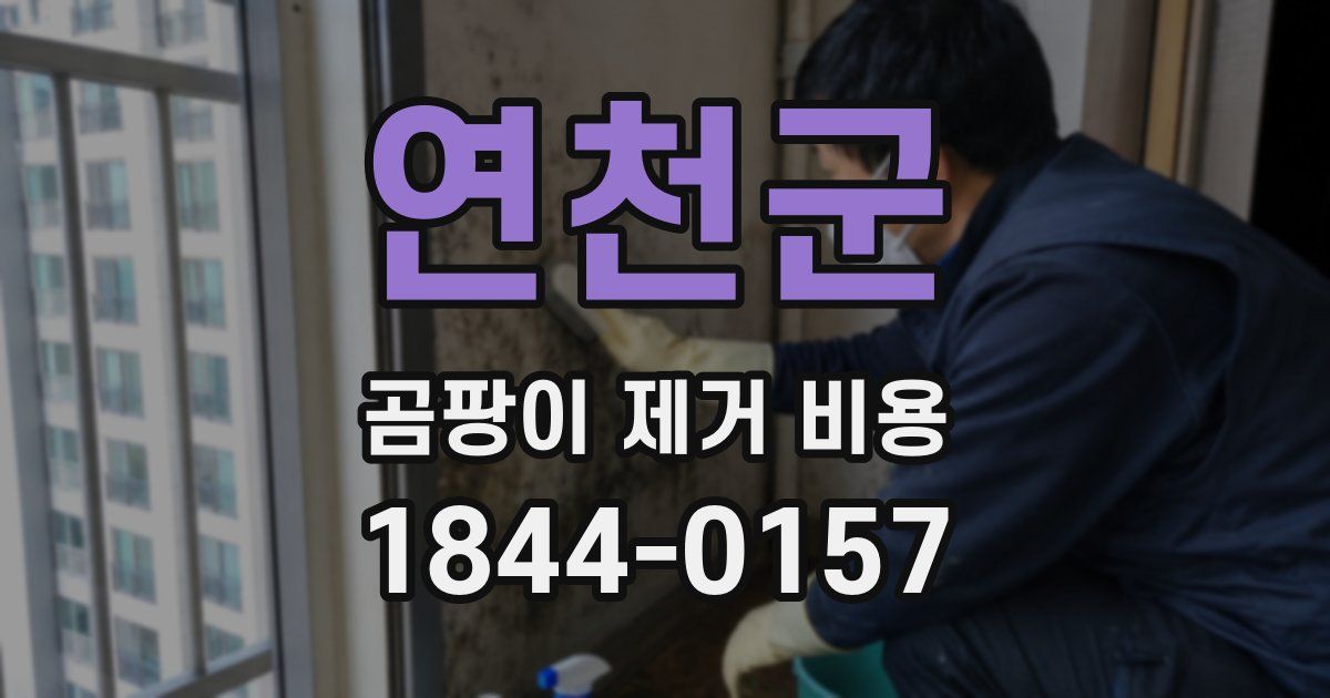 연천군 곰팡이 제거 비용