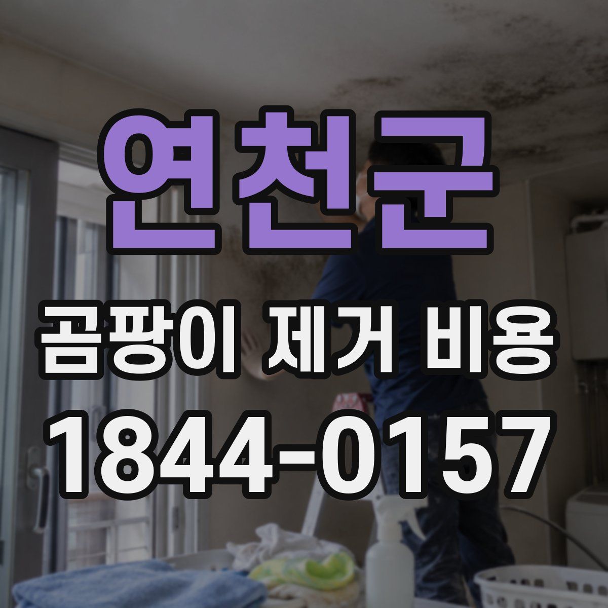 연천군 곰팡이 제거 비용