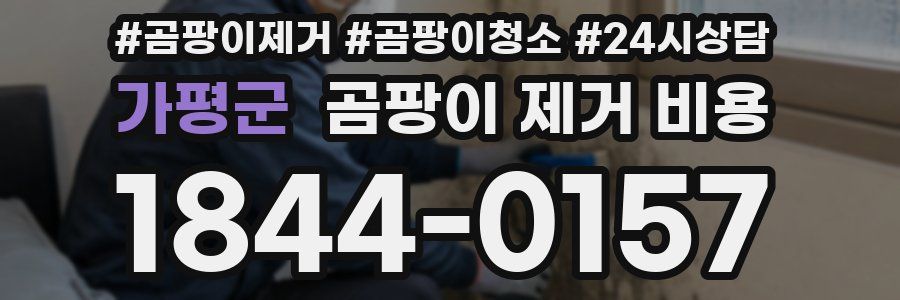 가평군 곰팡이 제거 비용