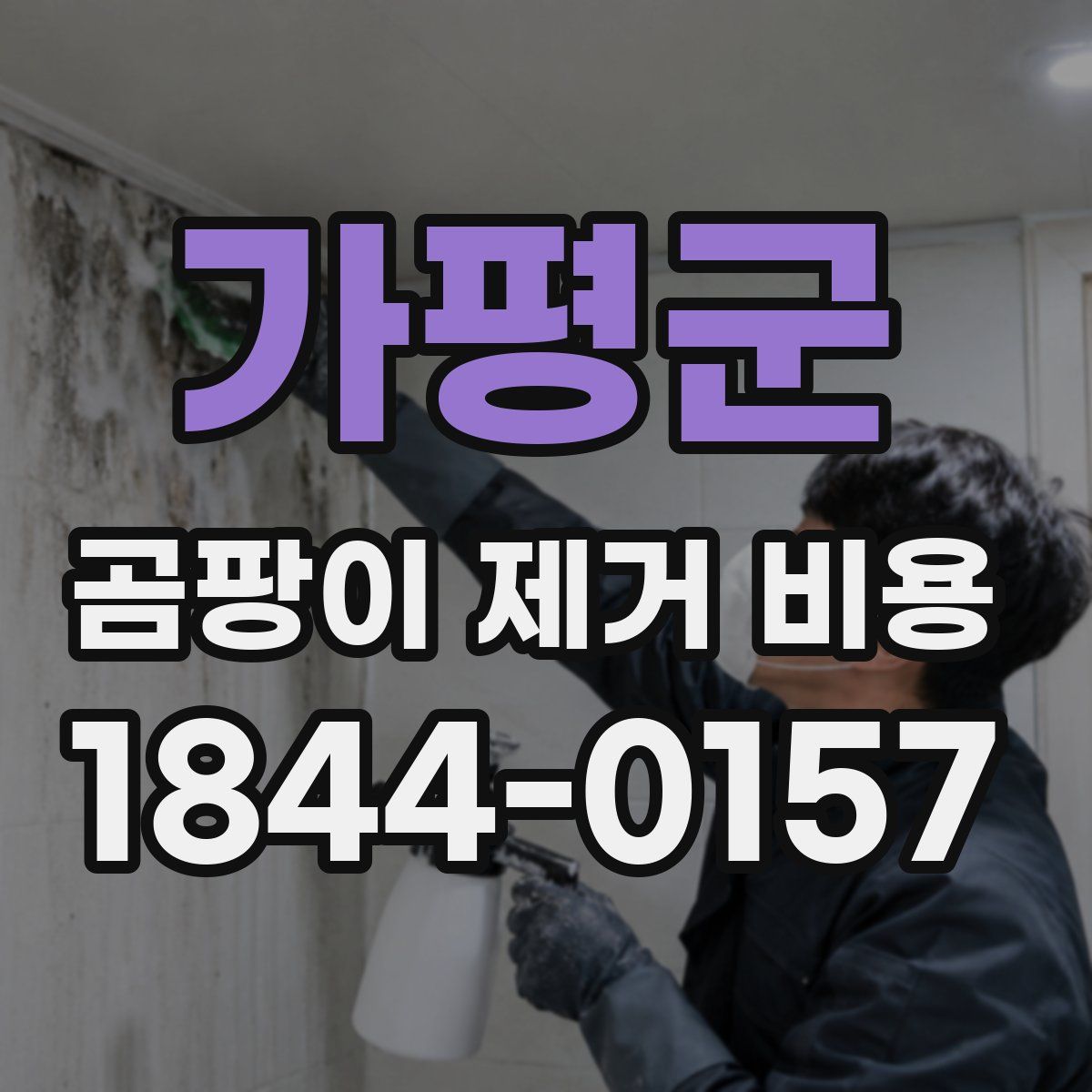 가평군 곰팡이 제거 비용