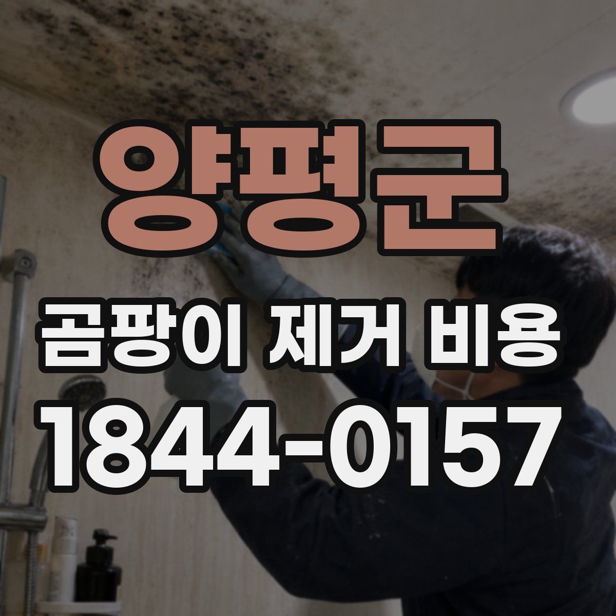 양평군 곰팡이 제거 비용