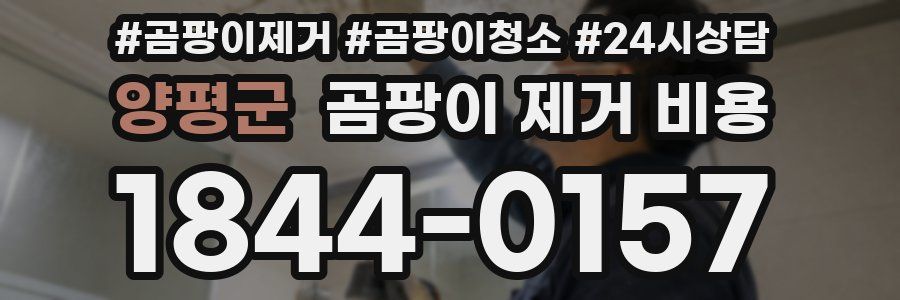 양평군 곰팡이 제거 비용