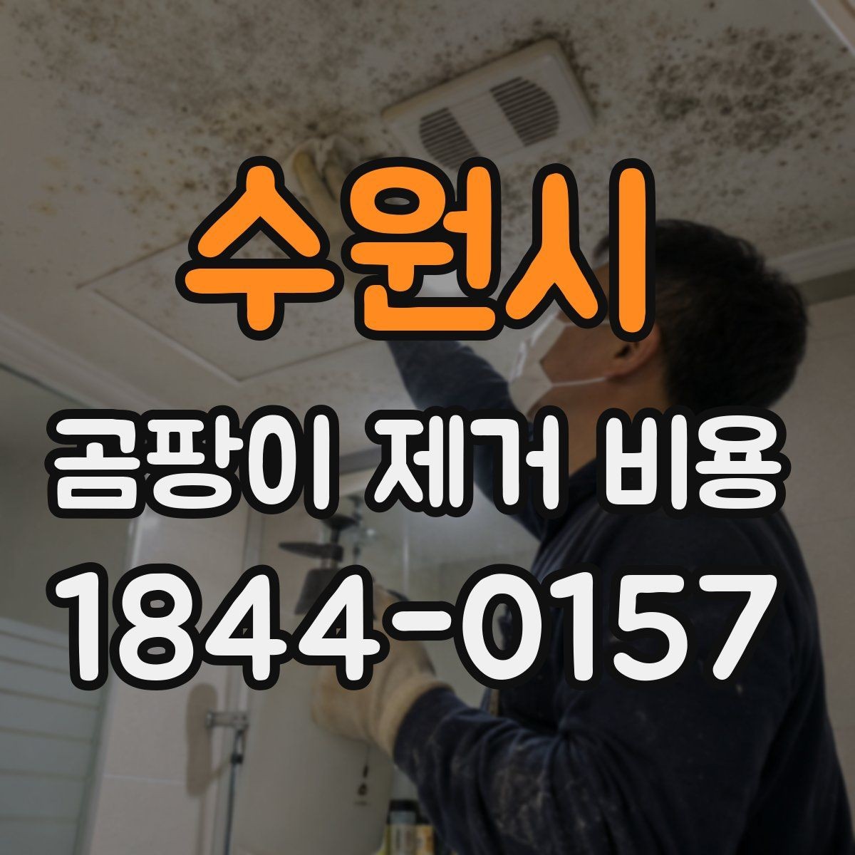 수원시 곰팡이 제거 비용 욕실 오염과 거실 오염의 처리 기준