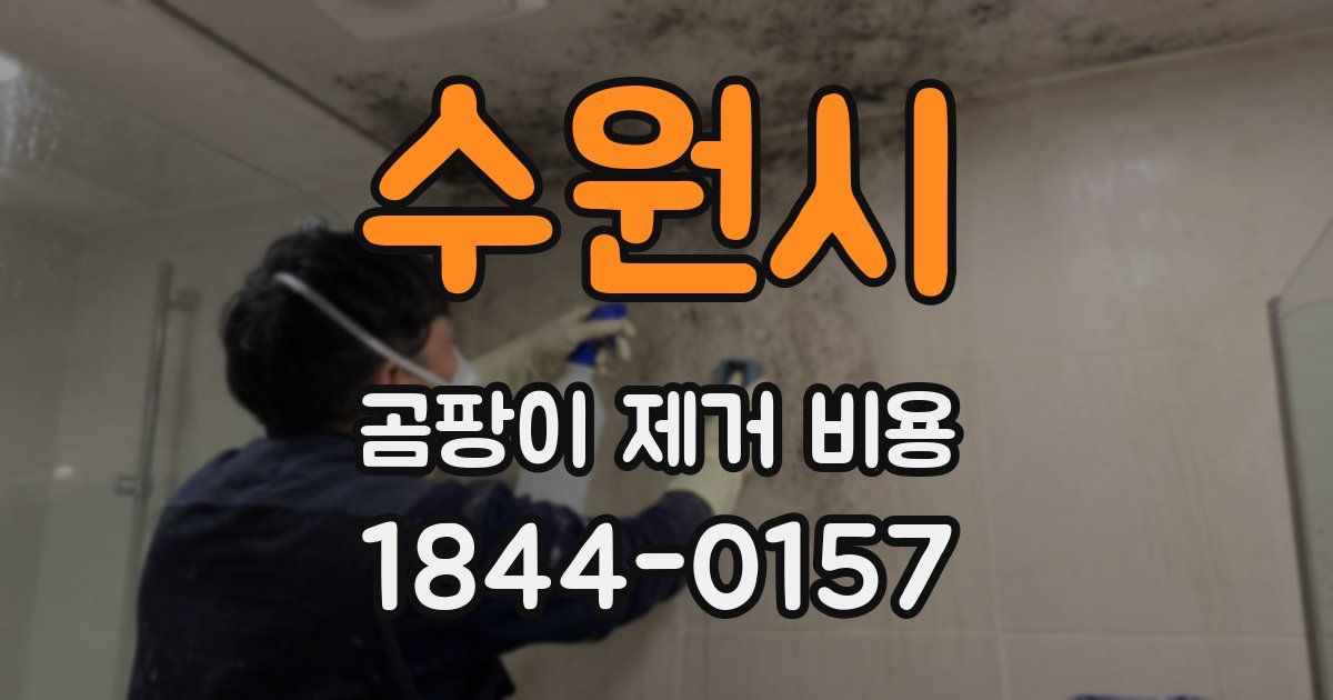 수원시 곰팡이 제거 비용