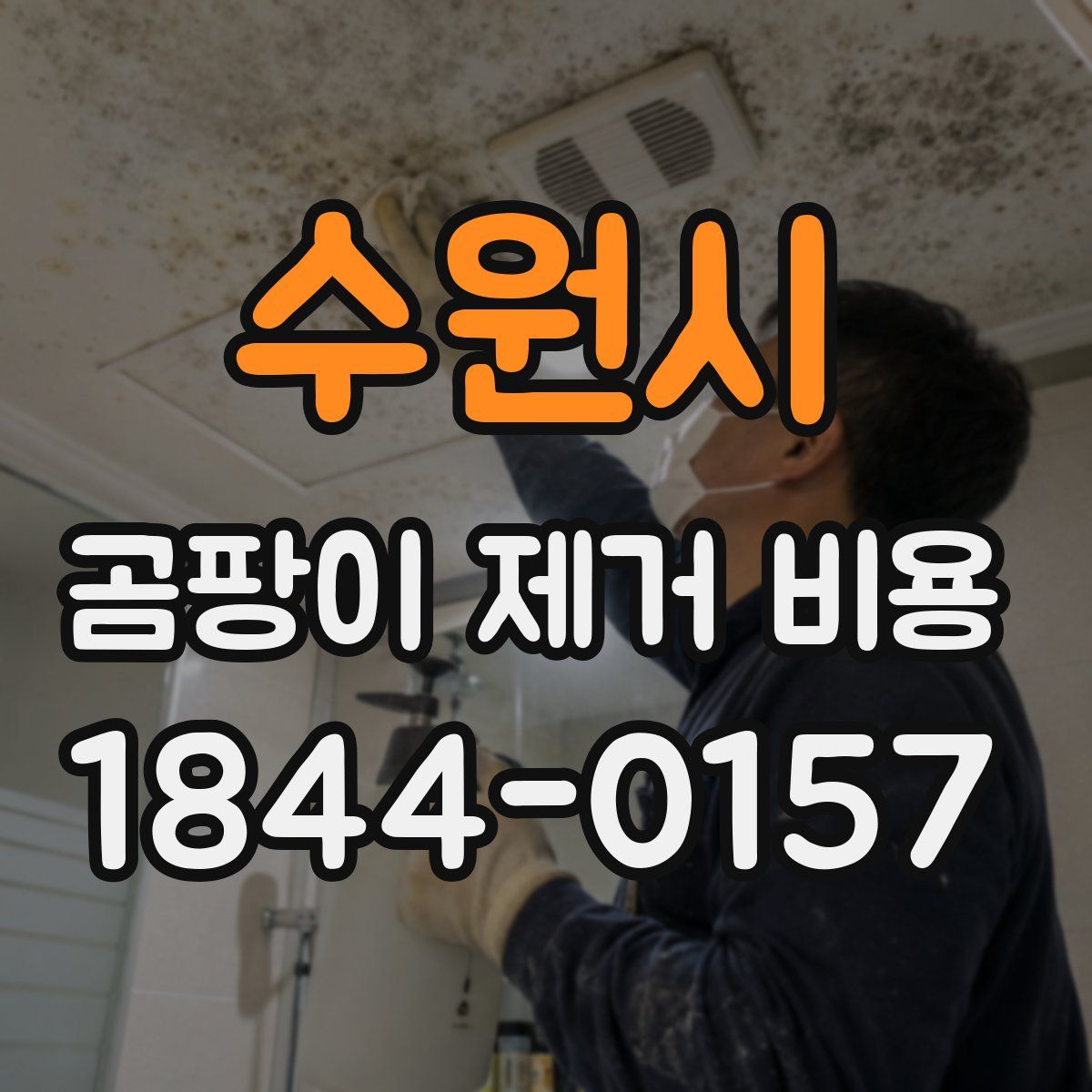 수원시 곰팡이 제거 비용