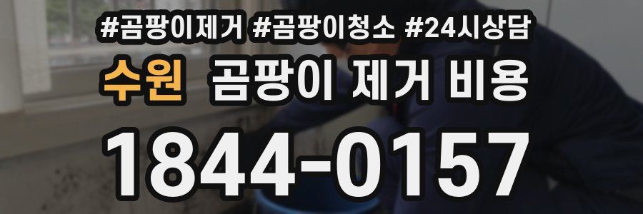 수원 곰팡이 제거 비용