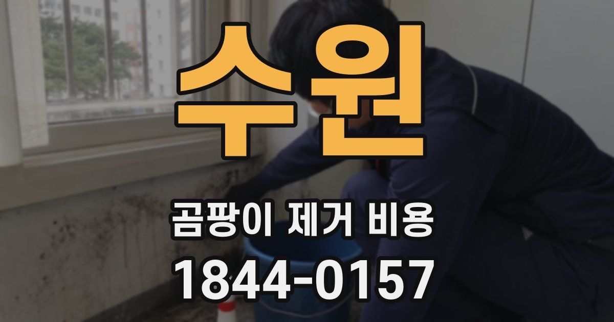 수원 곰팡이 제거 비용