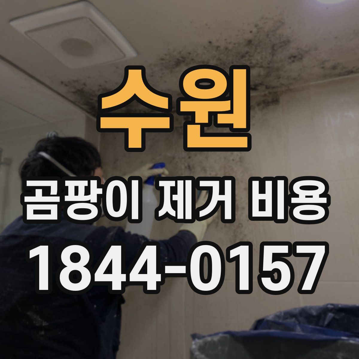 수원 곰팡이 제거 비용