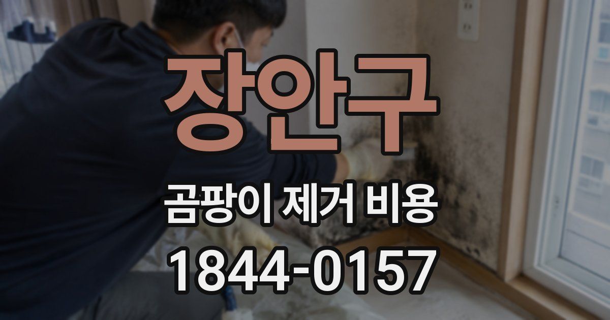 장안구 곰팡이 제거 비용